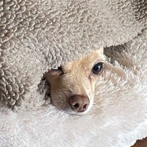 Meet your Posher, Claudia